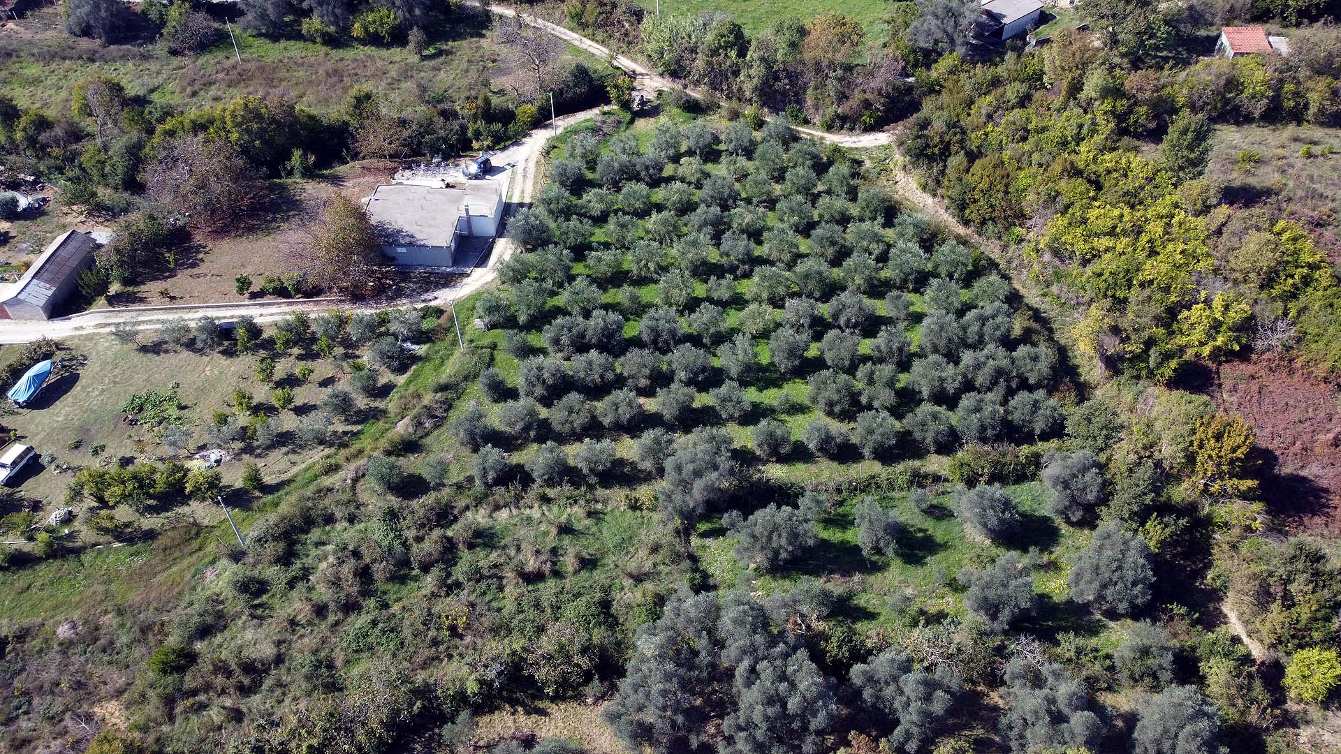 Prime rural property for sale in Ulcinj, Montenegro: small building, grove, gravel road. Invest via montenegro-listings.me by Ekosphere doo.