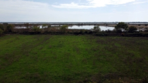 Prime Ulcinj land for sale: lush green fields, pond, scenic views—exclusive investment on montenegro-listings.me by ekosphere doo.