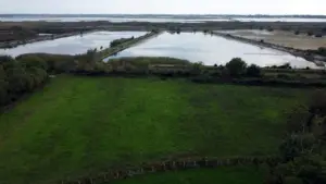 Prime fenced green field with ponds, ideal for Ulcinj real estate investment. Listed by montenegro-listings.me, ekosphere doo project.