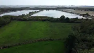 Premium investment opportunity: expansive green fields, wooded borders, and ponds in Ulcinj, near real estate on montenegro-listings.me by ekosphere doo.