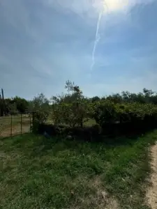 Lush garden with fenced greenery and path—prime Ulcinj real estate, great investment via Montenegro-Listings.me by Ekosphere doo.
