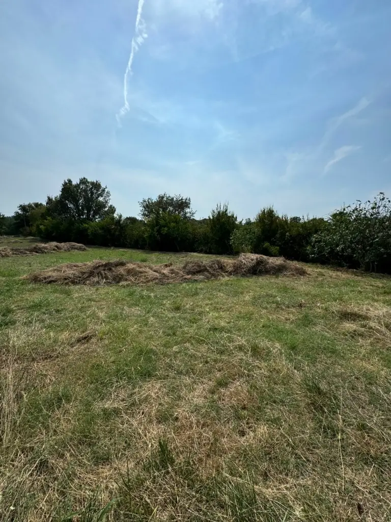 Prime investment opportunity: expansive grassy plot in Ulcinj, Montenegro—ideal for real estate. On montenegro-listings.me by ekosphere doo.