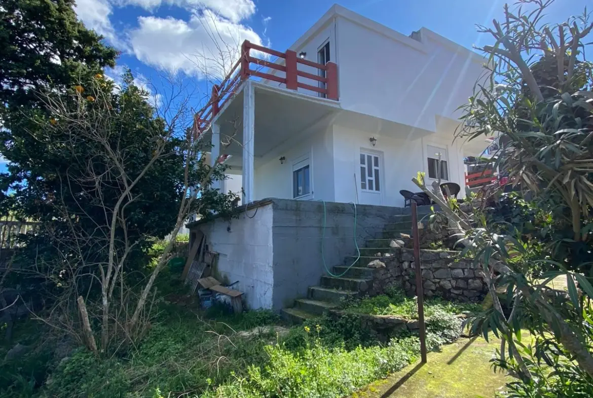 IMG 20250114 WA0043 1 1170x785