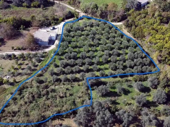 Prime Ulcinj land for sale: outlined parcels with olive groves, greenery, and access roads—Ekosphere’s Montenegro-Listings.me project.