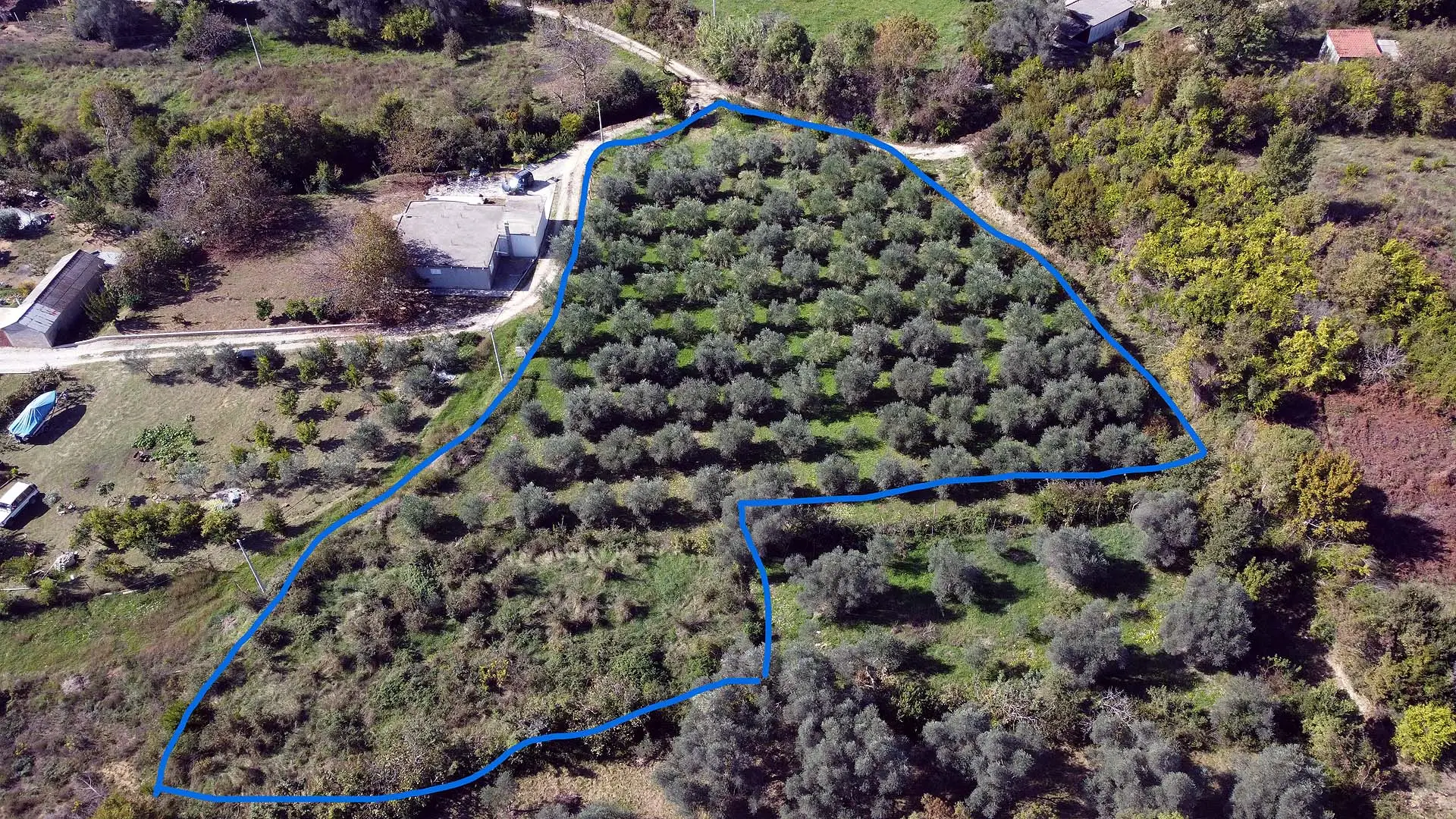 Prime Ulcinj land for sale: outlined parcels with olive groves, greenery, and access roads&mdash;Ekosphere&rsquo;s Montenegro-Listings.me project.