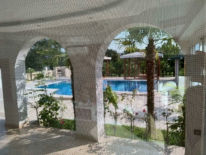 Stunning Ulcinj villa for sale: pool, lush gardens, palm trees. Exclusive on montenegro-listings.me—by ekosphere doo Ulcinj.