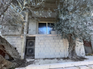 Modern concrete facade in Ulcinj, Montenegro with olive trees and AC—exclusive investment on montenegro-listings.me by ekosphere doo.
