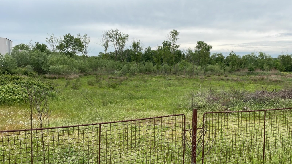 Prime Ulcinj land: spacious grassy field, mature trees, investment-ready. Exclusive on montenegro-listings.me by Ekosphere Doo.