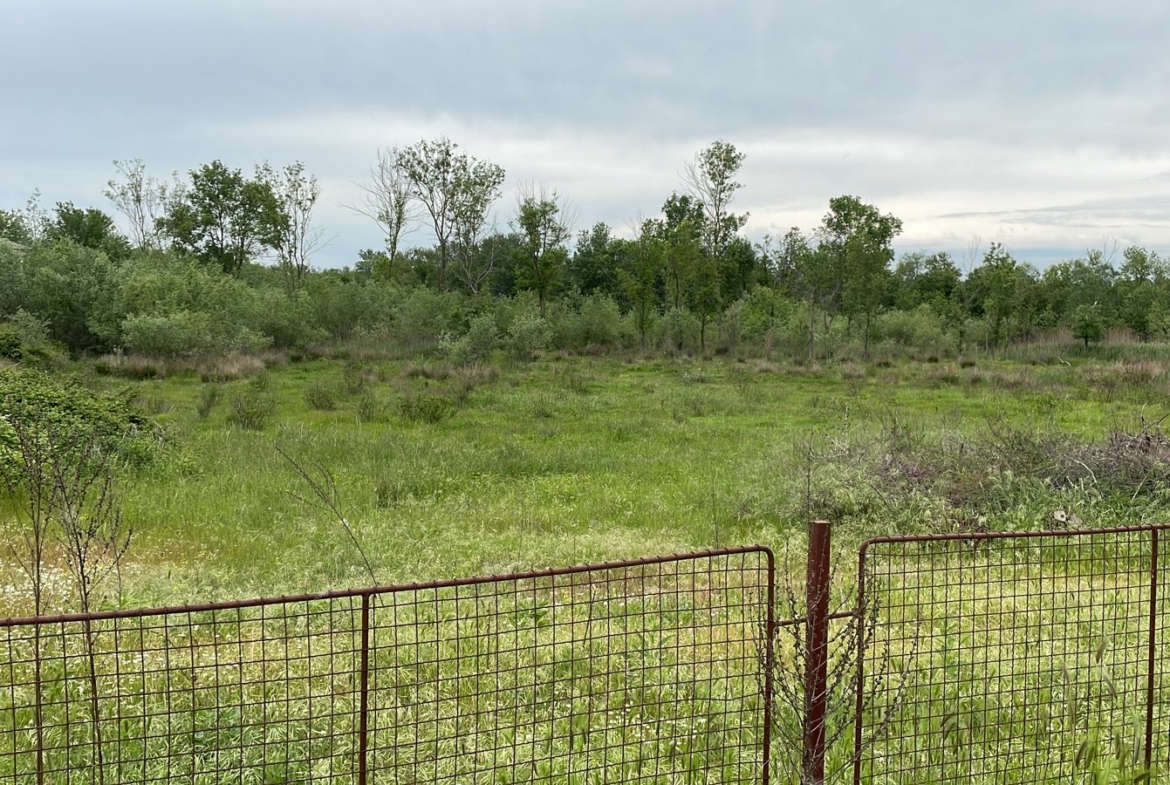 WhatsApp Image 2022 05 16 At 4.07.18 PM 1 1170x785