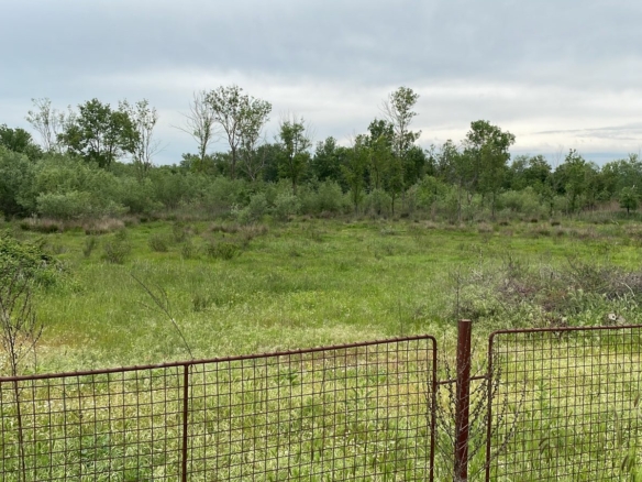 Erstklassiges Grundst&uuml;ck in Ulcinj: ger&auml;umige Wiese, alter Baumbestand, investitionsbereit. Exklusiv auf montenegro-listings.me von Ekosphere Doo. 