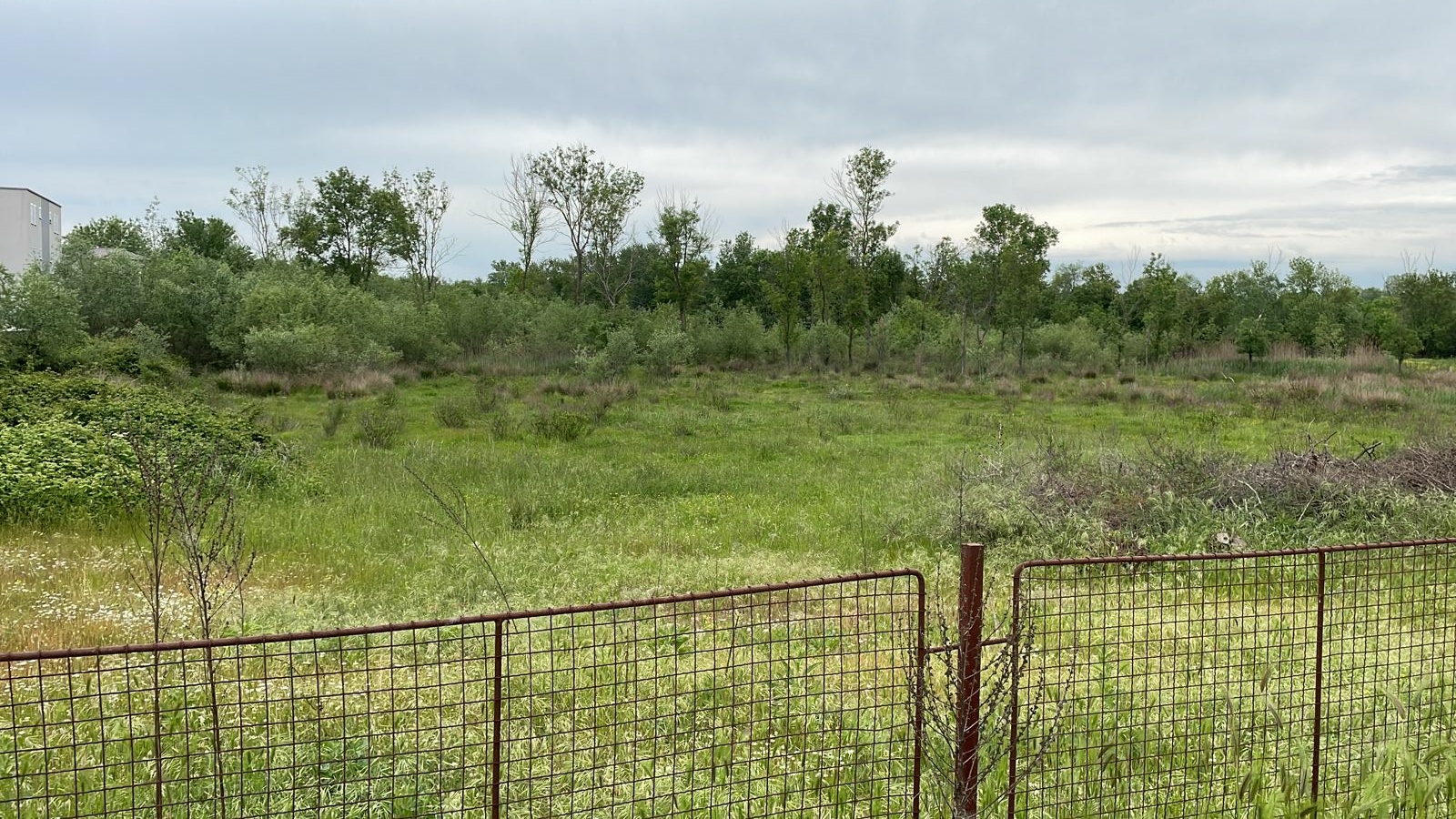 Erstklassiges Grundst&uuml;ck in Ulcinj: ger&auml;umige Wiese, alter Baumbestand, investitionsbereit. Exklusiv auf montenegro-listings.me von Ekosphere Doo. 