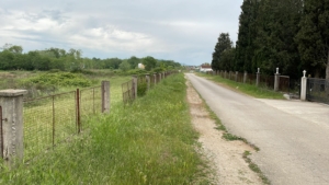 Prime Ulcinj, Montenegro property: paved access road, fenced land, mature trees, metal gate—montenegro-listings.me by Ekosphere DOO.