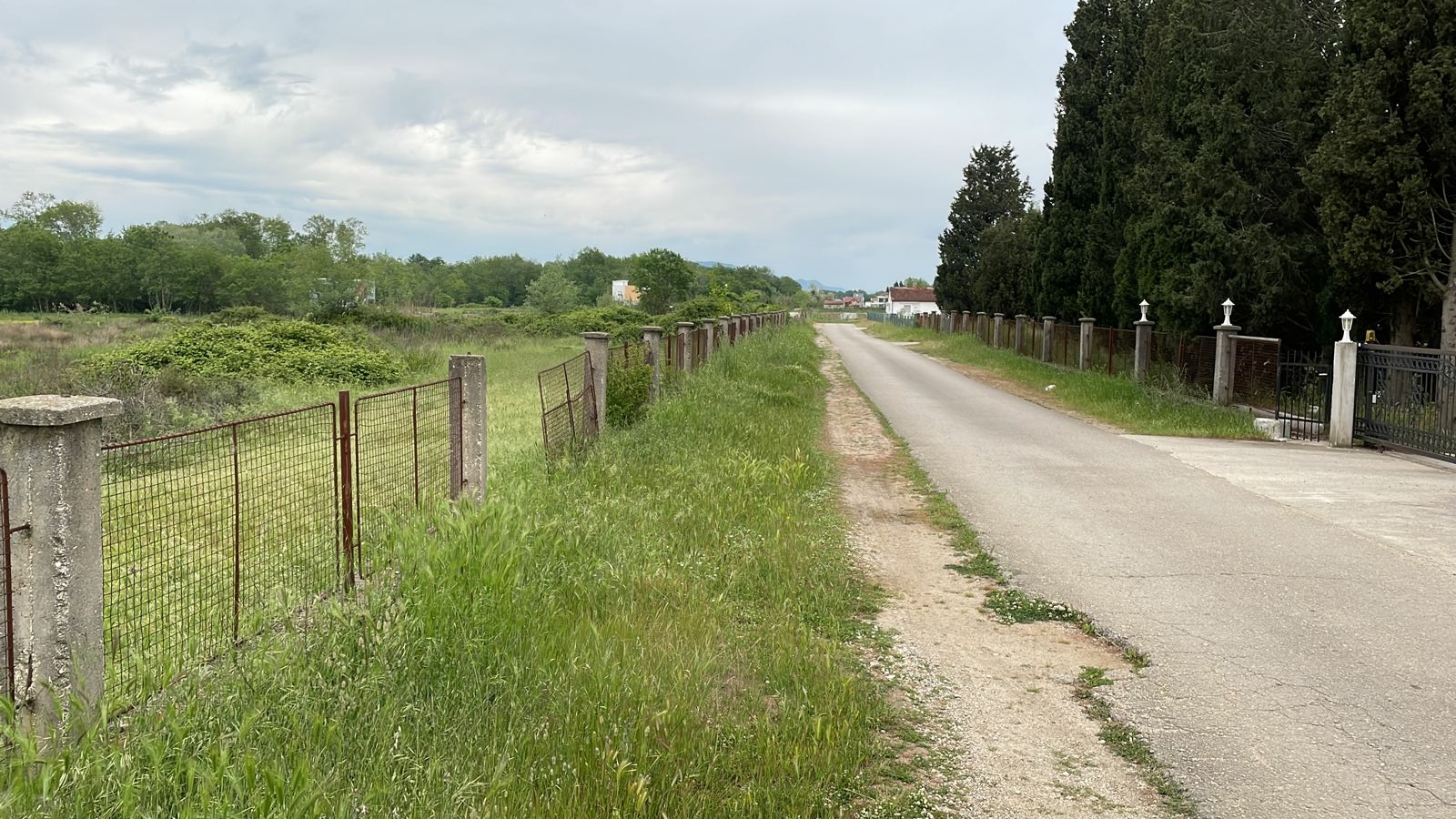 Prime Ulcinj, Montenegro property: paved access road, fenced land, mature trees, metal gate&mdash;montenegro-listings.me by Ekosphere DOO.