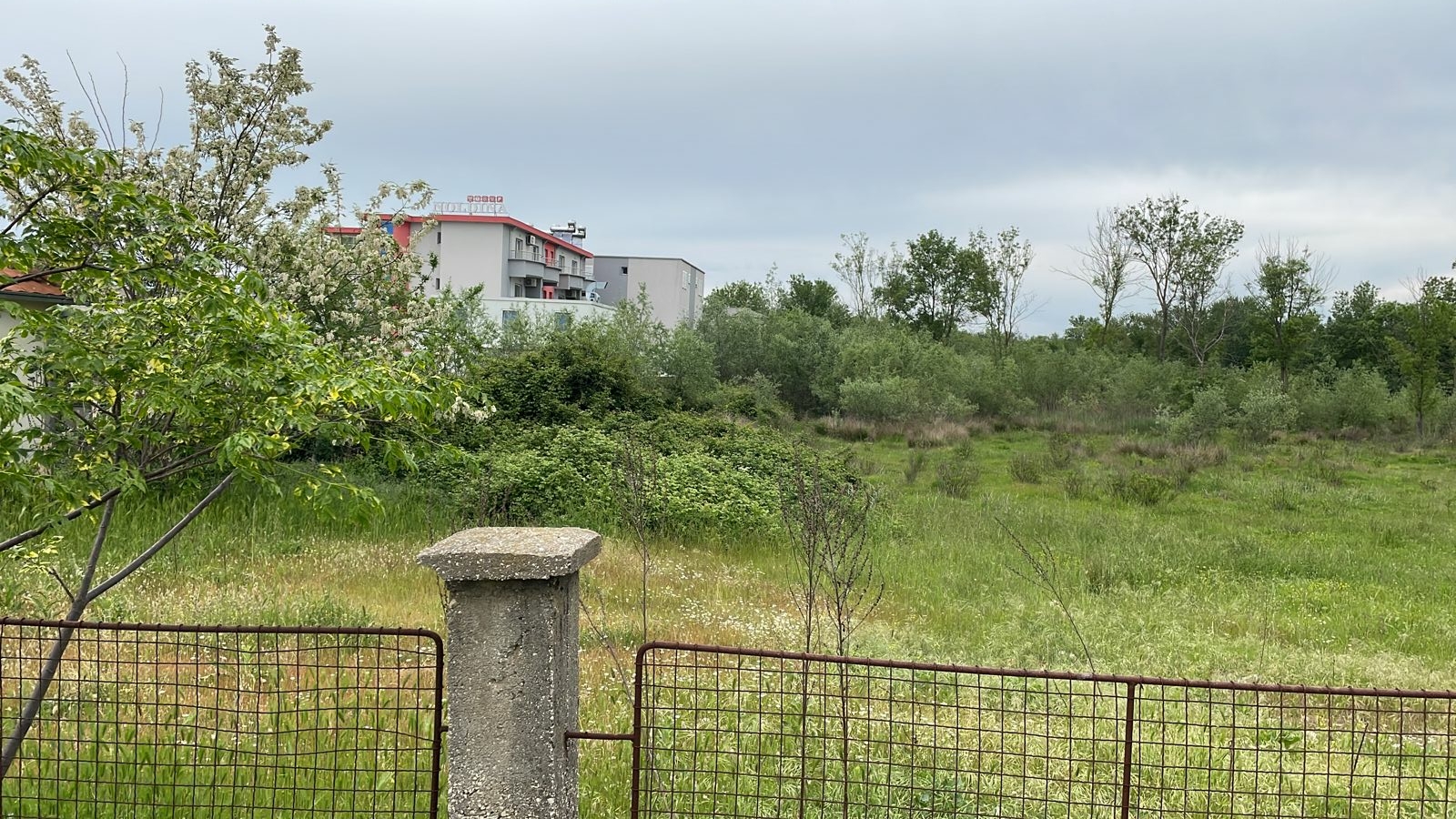 Prime investment land in Ulcinj, Montenegro: lush field with trees, building views; exclusive at montenegro-listings.me by Ekosphere DOO.