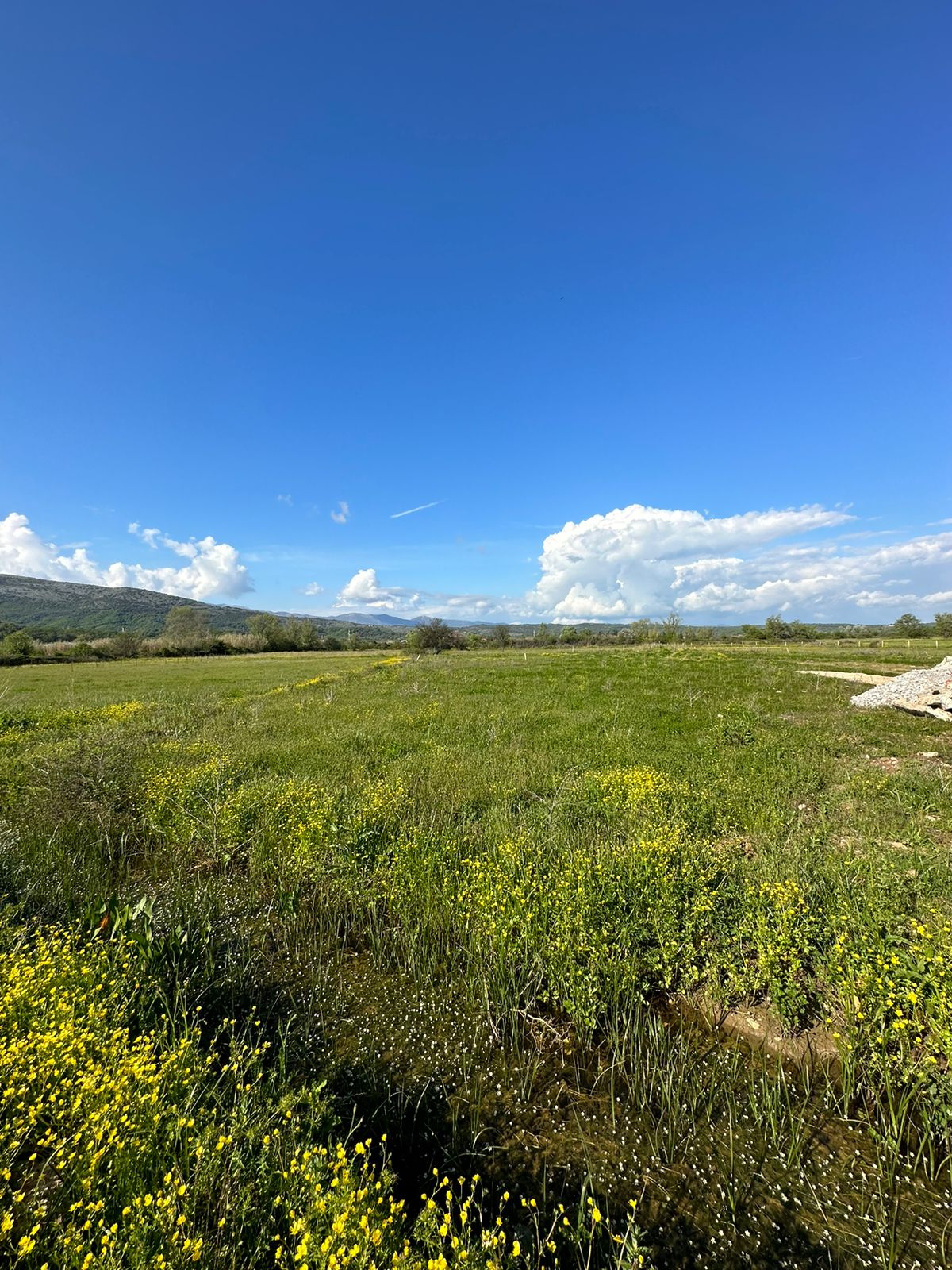 Sunlit plot with wildflowers in Ulcinj, Montenegro—prime real estate investment near properties. Listed by ekosphere doo.