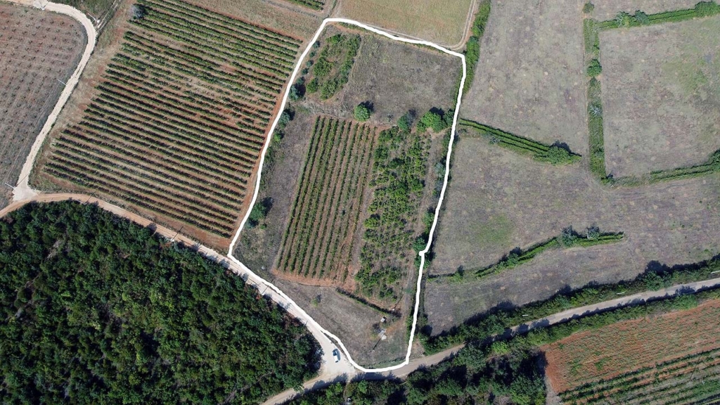 Erstklassige Landinvestition in Ulcinj: wei&szlig; umrandetes Feld, fruchtbarer Boden, einfacher Stra&szlig;enzugang. Exklusiv auf montenegro-listings.me von ekosphere doo.