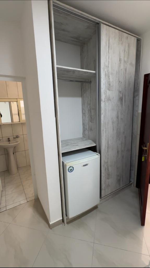Modern Ulcinj apartment featuring smart storage, built-in wardrobe, compact fridge, and stylish bathroom. Montenegro-listings.me by Ekosphere.
