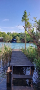 Lakefront houses in Ulcinj, Montenegro—exclusive real estate by montenegro-listings.me (ekosphere doo), with private dock and lush views.