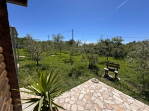 Charming stone patio with wooden bench, lush yard, and Ulcinj views—a prime Montenegro real estate by montenegro-listings.me/Ekosphere.