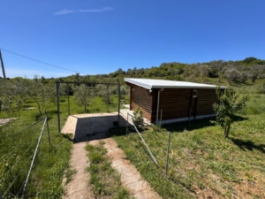 Charming wooden cabin with metal roof, lush grounds & modern path in Ulcinj—prime investment at montenegro-listings.me by Ekosphere DOO.