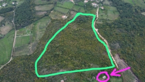 Prime forested real estate in Ulcinj, Montenegro—outlined in green, with a featured Ekosphere investment from montenegro-listings.me.
