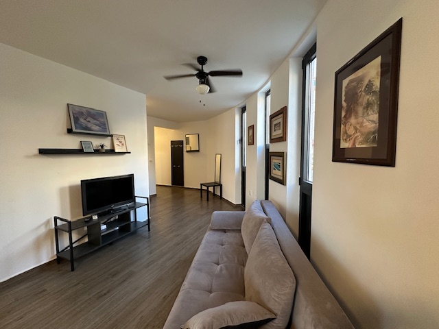 Stilvolles Ulcinj-Wohnzimmer mit grauem Sofa, gerahmter Kunst, Holzb&ouml;den, hohen Fenstern; exklusiv auf montenegro-listings.me von ekosphere doo.