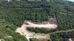 Prime investment opportunity: four forested hillside plots in Ulcinj, Montenegro. Listed on montenegro-listings.me by Ekosphere DOO.