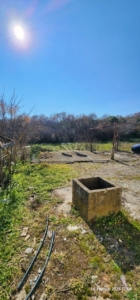 Prime Ulcinj property: spacious sunlit yard with concrete well, lush greenery—ideal for investment. Listed by montenegro-listings.me, an ekosphere doo project.