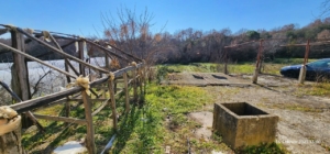 Prime Ulcinj property: spacious sunny plot, lush trees, car access, well & wooden structure—ideal Montenegro investment by ekosphere doo.