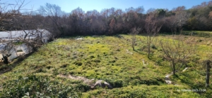 Prime investment opportunity: spacious Ulcinj field, sparse trees, greenhouse & clear skies. Listed on montenegro-listings.me by ekosphere doo.