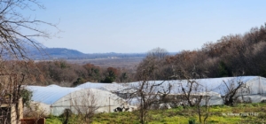 Prime investment opportunity in Ulcinj: expansive greenhouses, verdant land, panoramic hills—exclusive on montenegro-listings.me by Ekosphere.