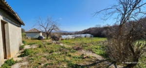Charming rural property in Ulcinj Montenegro: house, car, mature trees, open land—ideal investment via montenegro-listings.me by ekosphere doo.