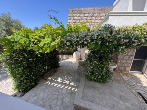 Discover this picturesque stone patio in Ulcinj with lush vines, well, and glass door—exclusive from montenegro-listings.me by Ekosphere.