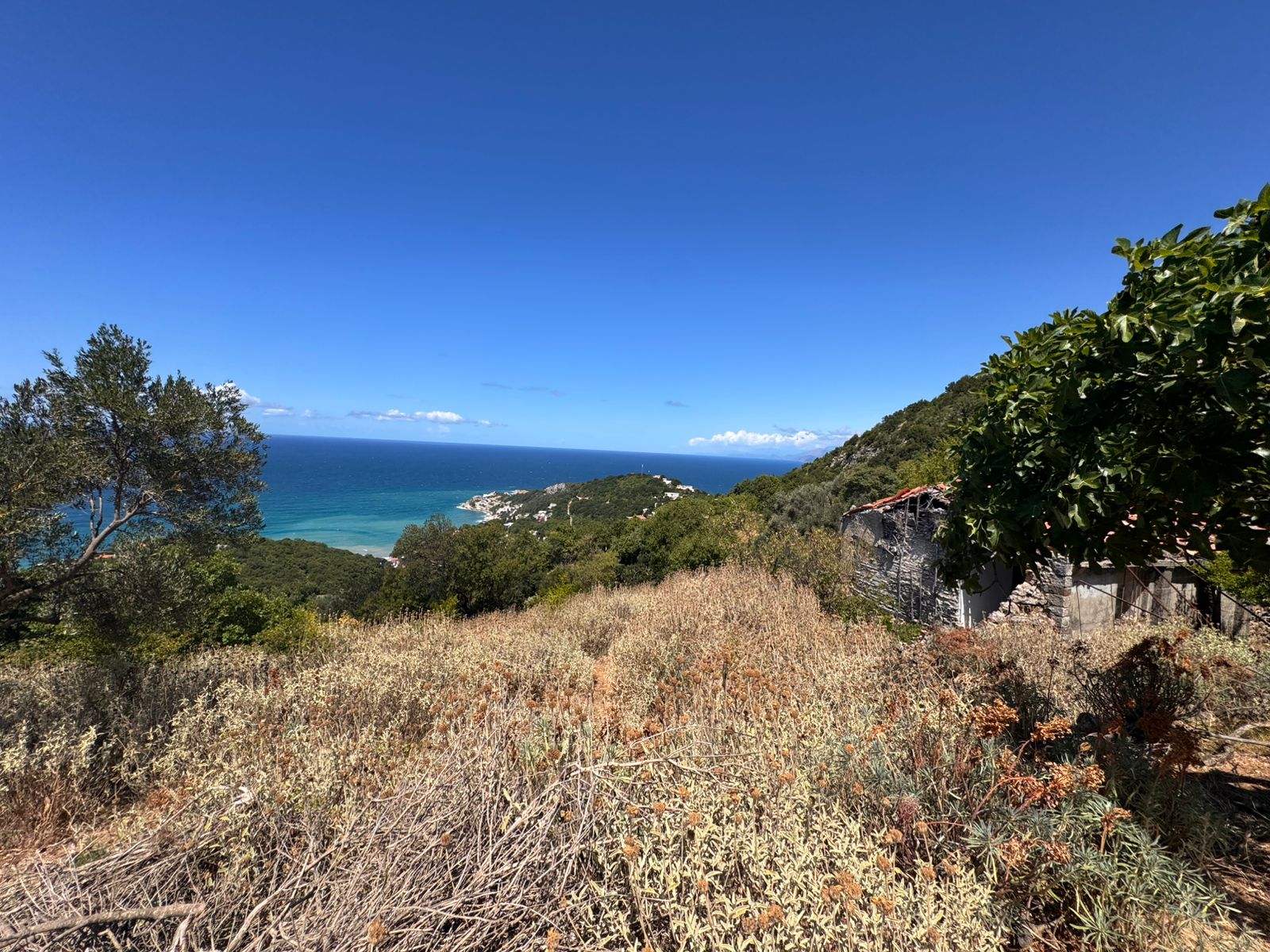 Prime Ulcinj real estate: hillside with mature trees, historic building, and panoramic Adriatic sea views—exclusive on montenegro-listings.me.