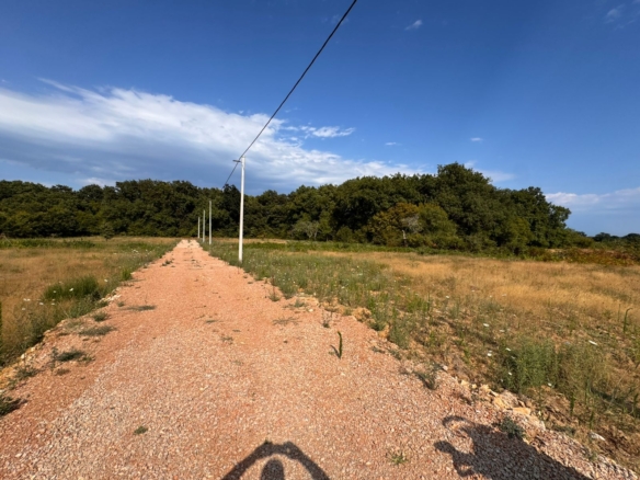 Premium-Immobilien in Ulcinj: grasbewachsenes Feld mit Strommasten, ideal f&uuml;r Investitionen. Eingetragen bei montenegro-listings.me von ekosphere doo. 