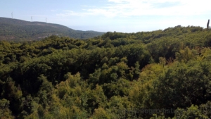 Lush green forests and rolling hills with wind turbines in Ulcinj, Montenegro—prime eco-friendly real estate by Ekosphere.