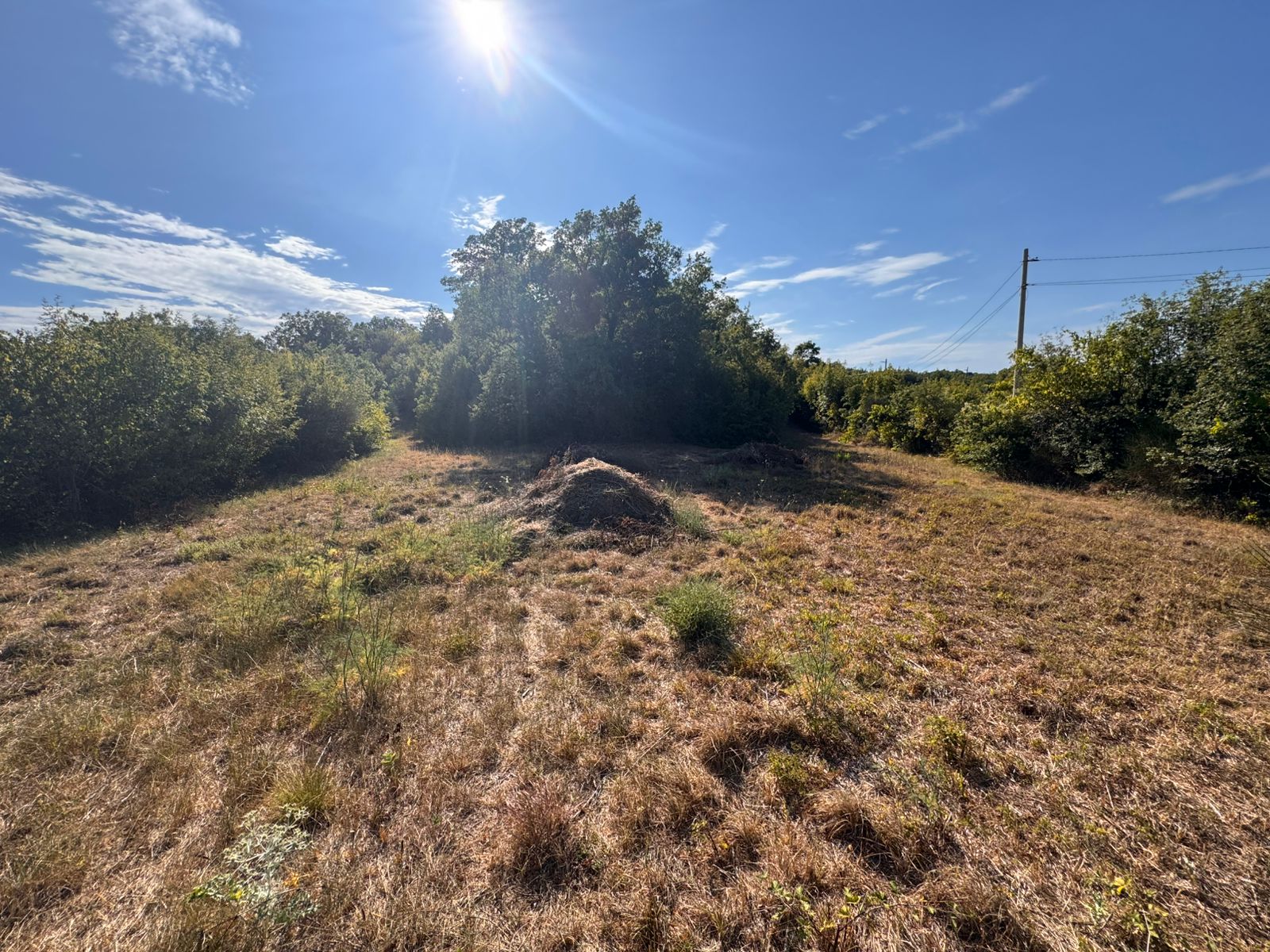 Prime investment opportunity: sunny Ulcinj Montenegro land with utilities, lush borders, on montenegro-listings.me by ekosphere doo.