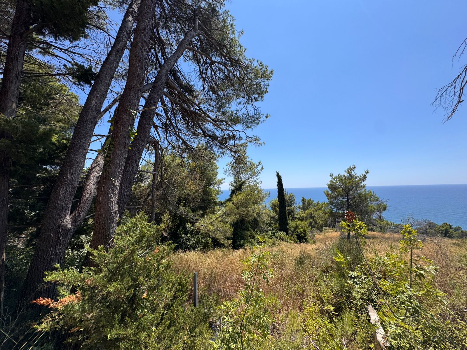 Stunning Ulcinj hillside properties for sale, surrounded by lush greenery and sea views. Invest with montenegro-listings.me by ekosphere doo.