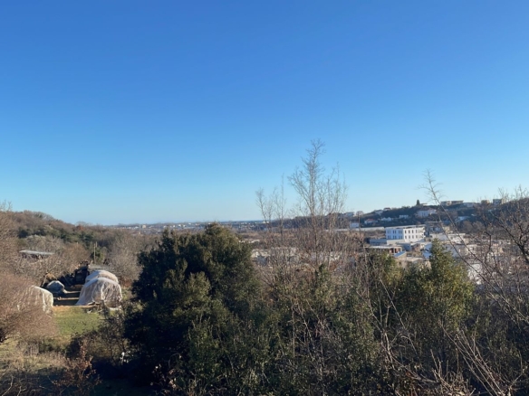 Prime Ulcinj land with open views, mature trees, greenhouses, and investment-ready plots. Exclusive on montenegro-listings.me by ekosphere doo.