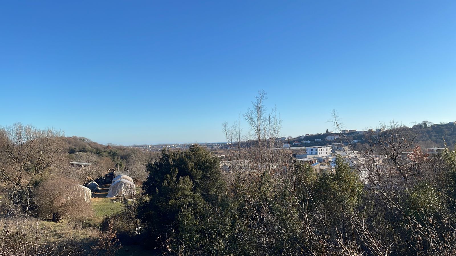 Prime Ulcinj land with open views, mature trees, greenhouses, and investment-ready plots. Exclusive on montenegro-listings.me by ekosphere doo.