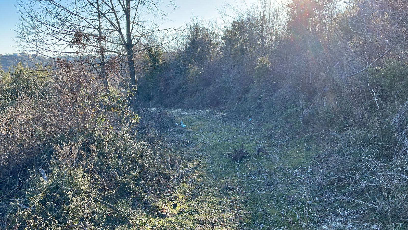 Exclusive investment opportunity in Ulcinj, Montenegro: scenic land with sunlight, natural vegetation, and development potential—listed by montenegro-listings.me, a project of ekosphere doo.