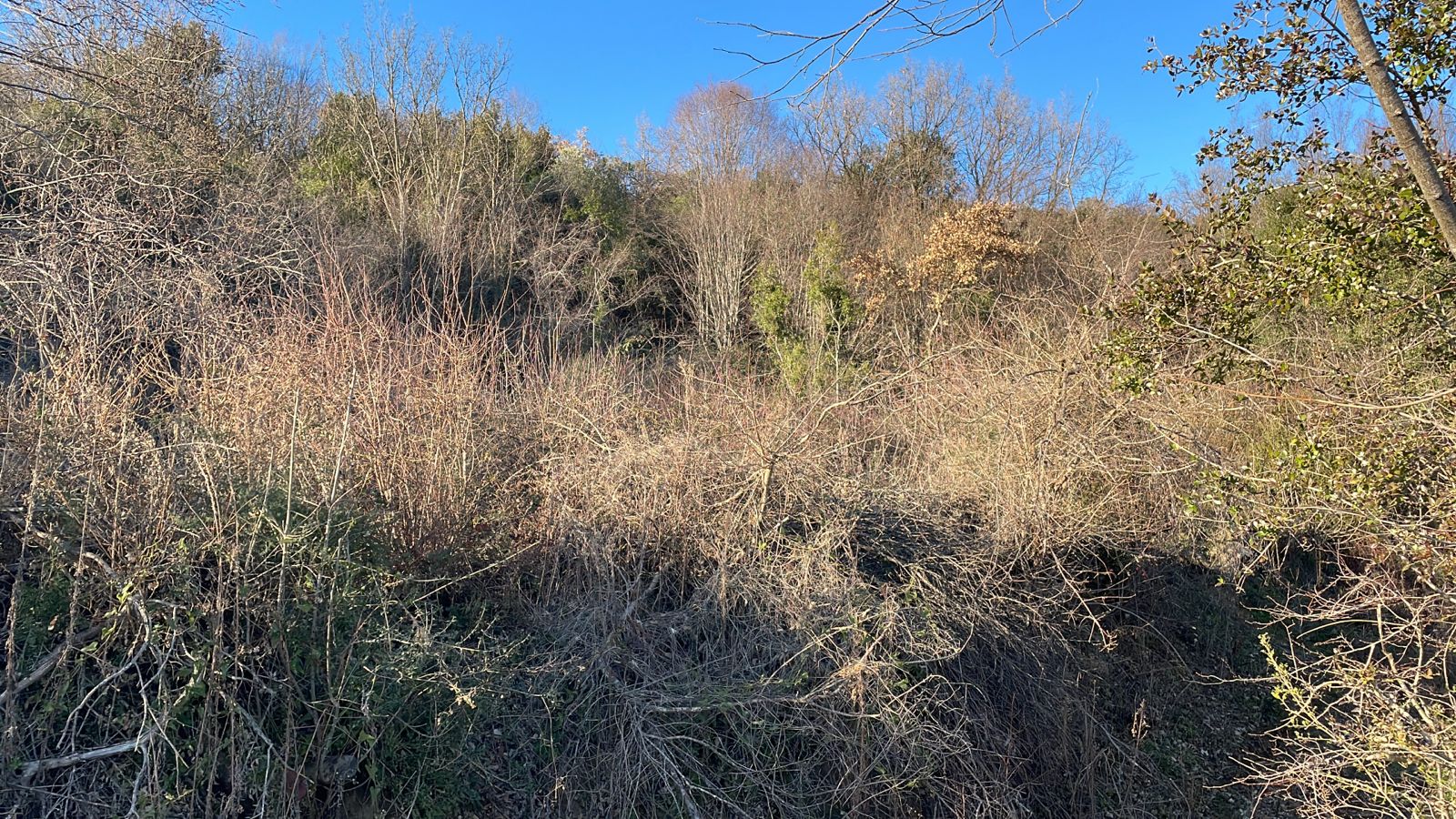 Investment opportunity in Ulcinj: hillside land with natural foliage, clear blue skies—exclusive on montenegro-listings.me by ekosphere doo.