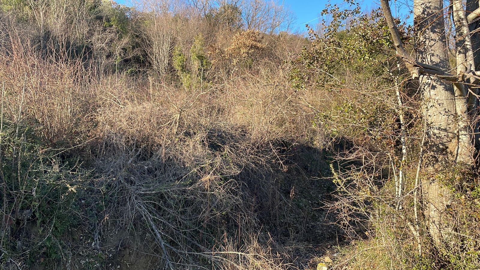 Prime Ulcinj hillside with panoramic views, sun-dappled terrain, and investment-ready land. Exclusive on montenegro-listings.me by ekosphere doo.