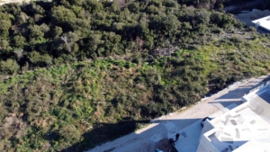 Prime Ulcinj land for investment: spacious plot near white building, dirt road access, lush greenery—exclusive at montenegro-listings.me by ekosphere doo.