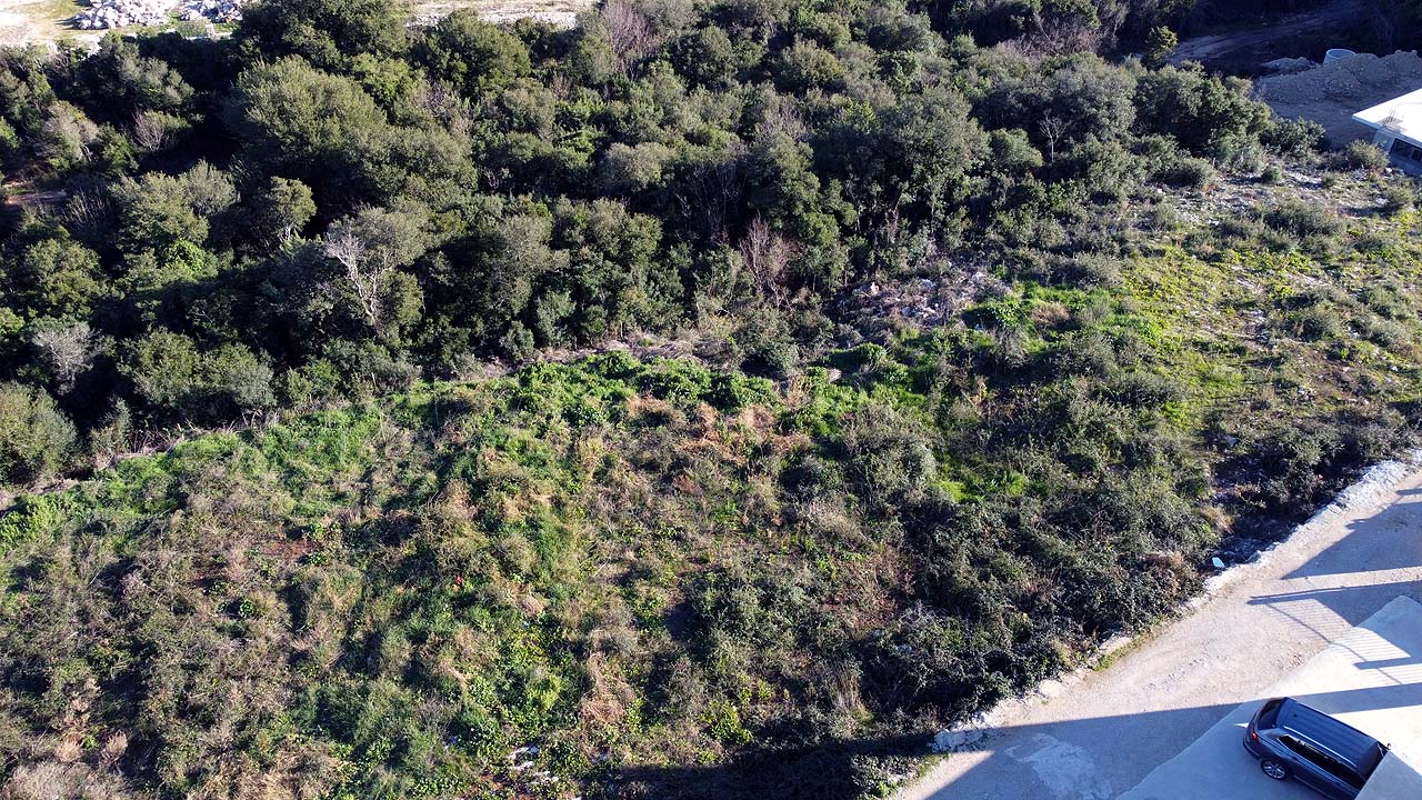 Prime Ulcinj investment: spacious, green vacant lot beside street and trees. Ideal for development. Listing by ekosphere doo.
