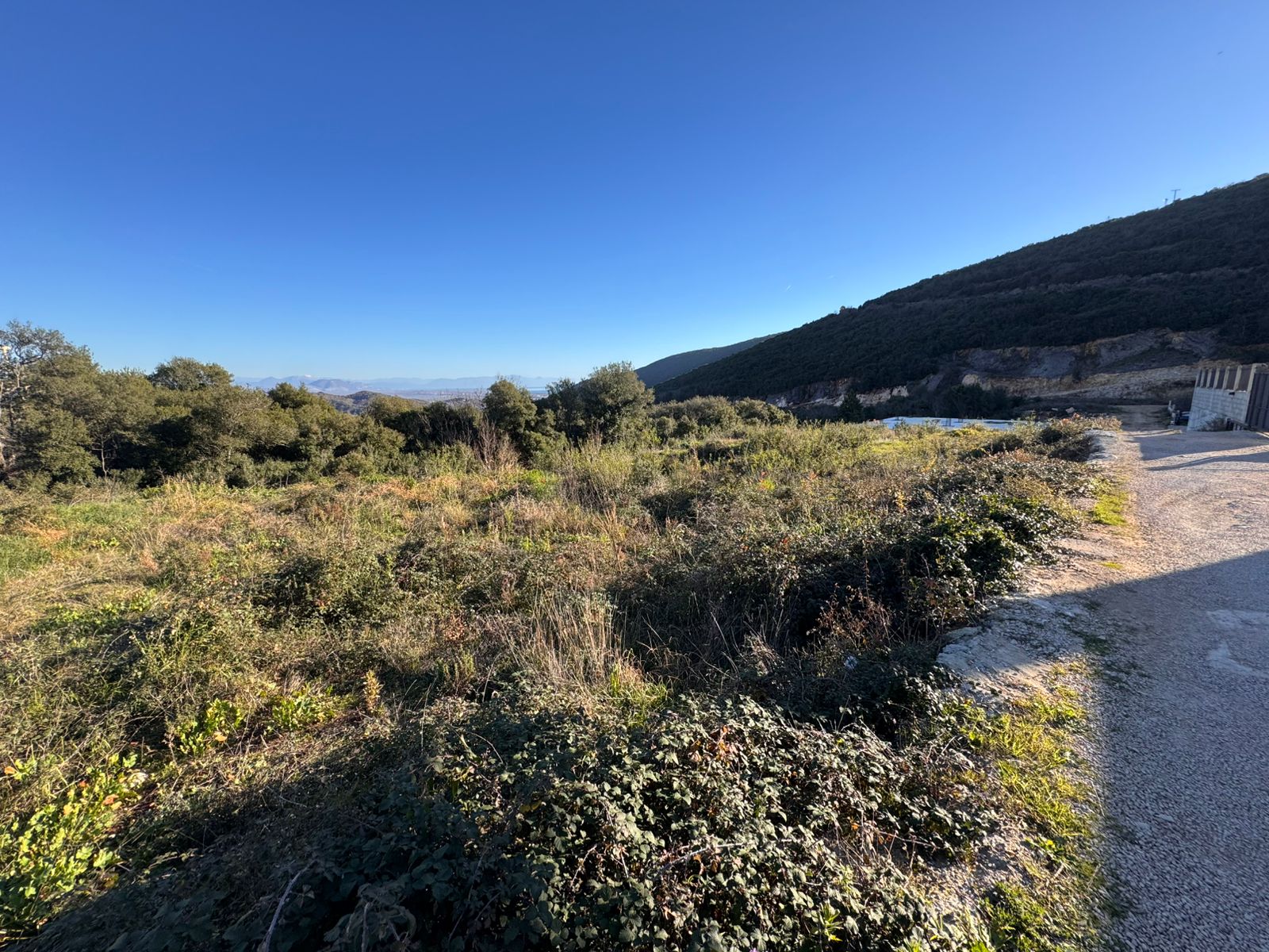 Prime Ulcinj land for sale: expansive grassy field by accessible road, lush trees, and hillside views. Invest via montenegro-listings.me.