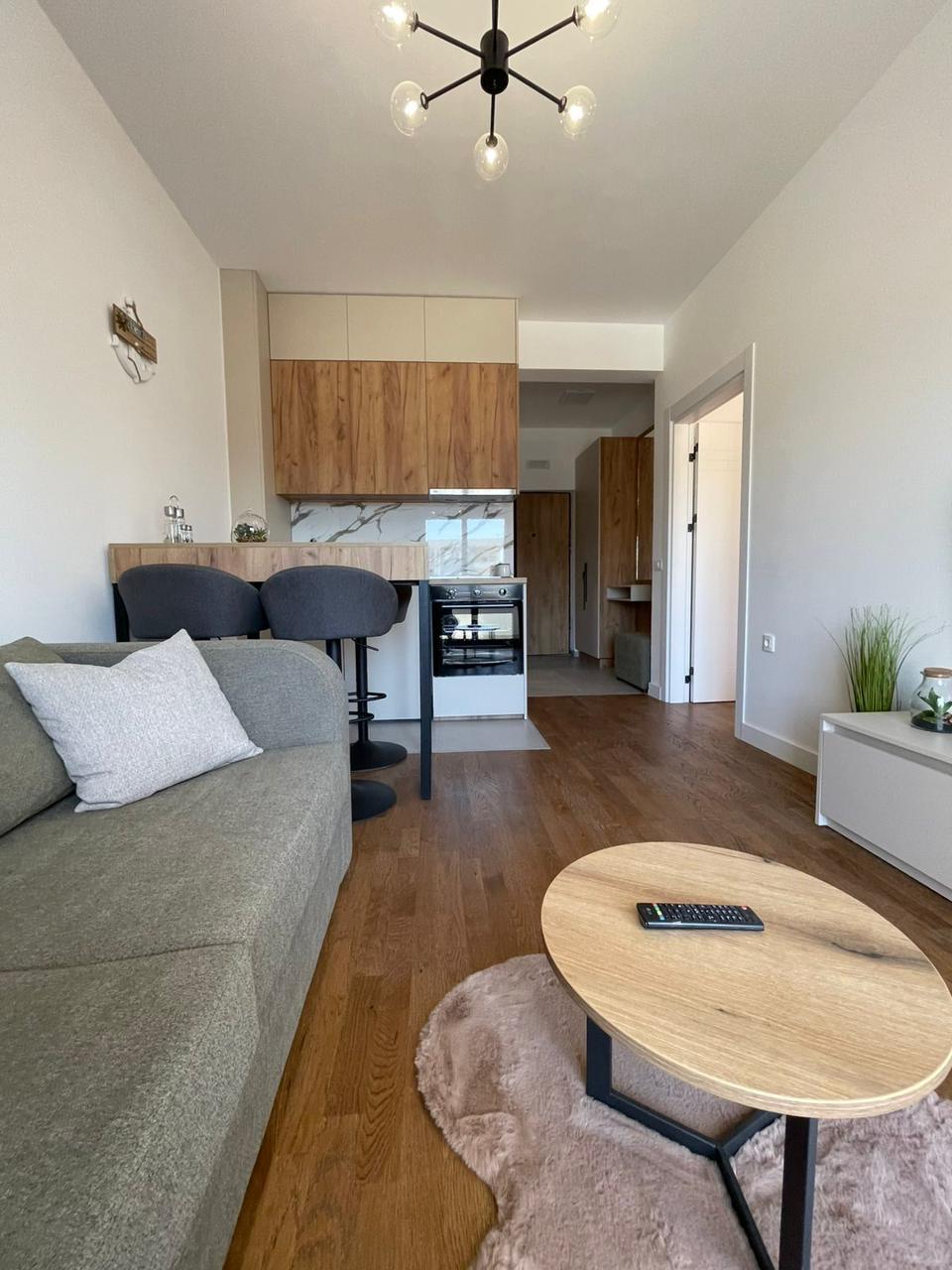 Stylish Ulcinj apartment: modern living area, gray sofa, elegant kitchen&mdash;prime Montenegro investment via montenegro-listings.me/Ekosphere.