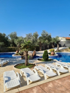 Luxury Ulcinj property: Curved pool, white loungers, palm and olive trees—invest in Montenegro real estate with montenegro-listings.me.