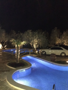 Stunning curving pool with blue night lights, landscaped grounds, luxury bridge, secure parking—prime Ulcinj real estate by ekosphere doo.