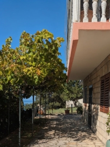 Charming Ulcinj home for sale: stone path, balcony views, lush grapevines, sea & greenery. Exclusive with montenegro-listings.me.